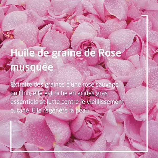 Weleda Rose Musquée Huile Harmonisante 100ml