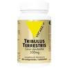 Vit'all+ Tribulus Terrestris 300mg 60 comprimés