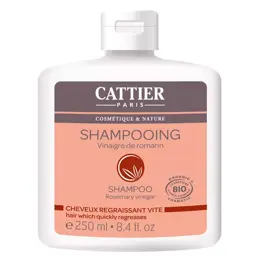 Cattier Shampoing Vinaigre de Romarin Bio 250ml