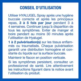 Hyalugel Spray Buccal Aphtes Petites Plaies 20ml