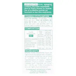 Naturactive Les Gouttes aux Essences 45ml