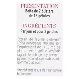 Dayang Phytothérapie Olivier Bio 30 gélules végétales