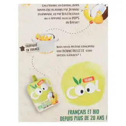 Vitabio Cool Fruits Gourdes Poire Banane Lait de Coco Bio Lot de 12 x 85g