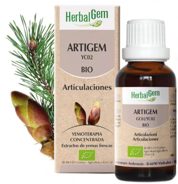 Herbal Gem Artigem Articulações Orgânicas 15 ml