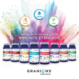 Granions 22 Vitamines Défenses Immunitaires 90 comprimés