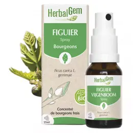 Herbalgem FIGUIER SPRAY BIO 15ML