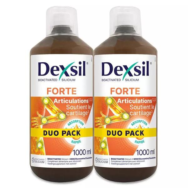 Dexsil Articolazioni Forte Lotto di 2 x 1L
