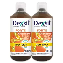 Dexsil Articulations Forte Lot de 2 x 1L