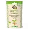 Germline Graines à Germer Brocoli Calabrais Bio 100g