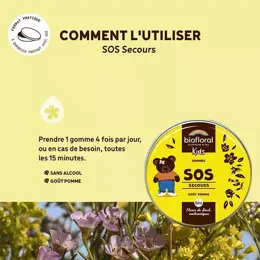 Biofloral Enfants Sos Secours Gommes Bio 45 Gr