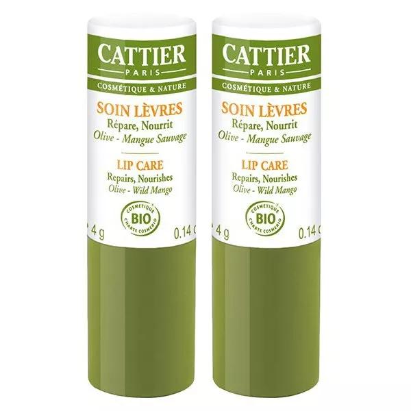 Cattier Labbra Nutriente Bio Lotto di 2 x 4g