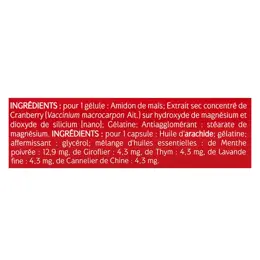 Naturactive Urisanol Flash Cranberry et 5 Huiles Essentielles  10 gélules et 10 capsules