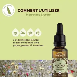 Biofloral Fleur De Bach 14 Heather Bruyere Compte Gouttes Bio Demeter 20 ml