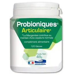 Santé Silice Probioniques Articulaire 120 gélules