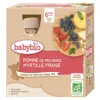 Babybio Gourdes Pomme de Provence Myrtille Fraise +6m Bio 4 x 90g