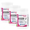 Nutergia Ergyphilus Intima Probiotiques Lot 3 x 60 gélules