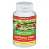 Nutriexpert Acerola 1000+ Prébiotiques 60 comprimés