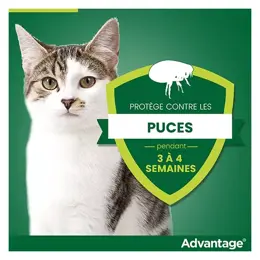 Advantage Solution Antipuce Chat Lapin 1 à 4kg 6 pipettes
