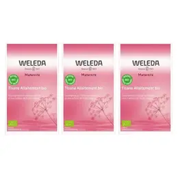 Weleda Maternité Tisane Allaitement Fruits Rouges Bio Lot de 3 x 20 sachets