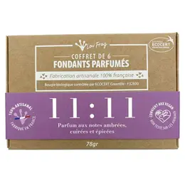 Lov'FROG Coffret Fondant Parfumé Parfum d'Ambiance 11:11 Ambré Cuivré Épicé Bio 6 unités