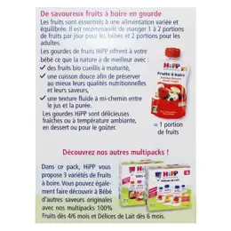 Hipp Bio Fruits à Boire Gourde Multipack 3 Variétés +12m Lot de 8 x 120ml