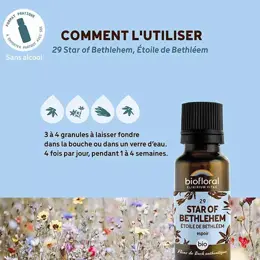 Biofloral 29 Star Of Bethlehem Etoile De Bethleem Granules Bio Fleur De Bach 19,5 Gr