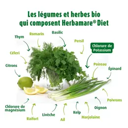 A.vogel Herbamare Diet Très Pauvre en Sodium Bio 125g