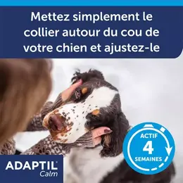 Ceva Adaptil Calm Collier L 70cm