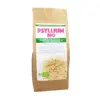 Dr Theiss Psyllium Bio 300g