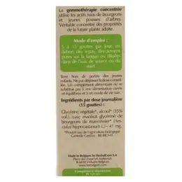 Herbalgem Macérat Concentré Marronier Bio 30ml