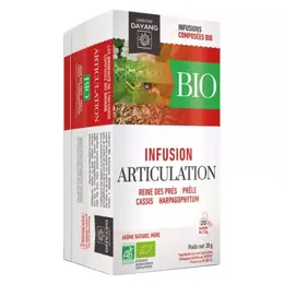 Dayang Infusion Bio Articulation 20 sachets