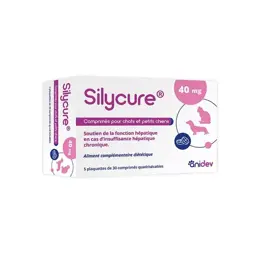 Anidev Silycure 40mg 150 Comprimés