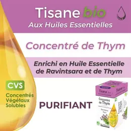 Nutrigée Infusion Bio Concentré de Thym 20 sachets