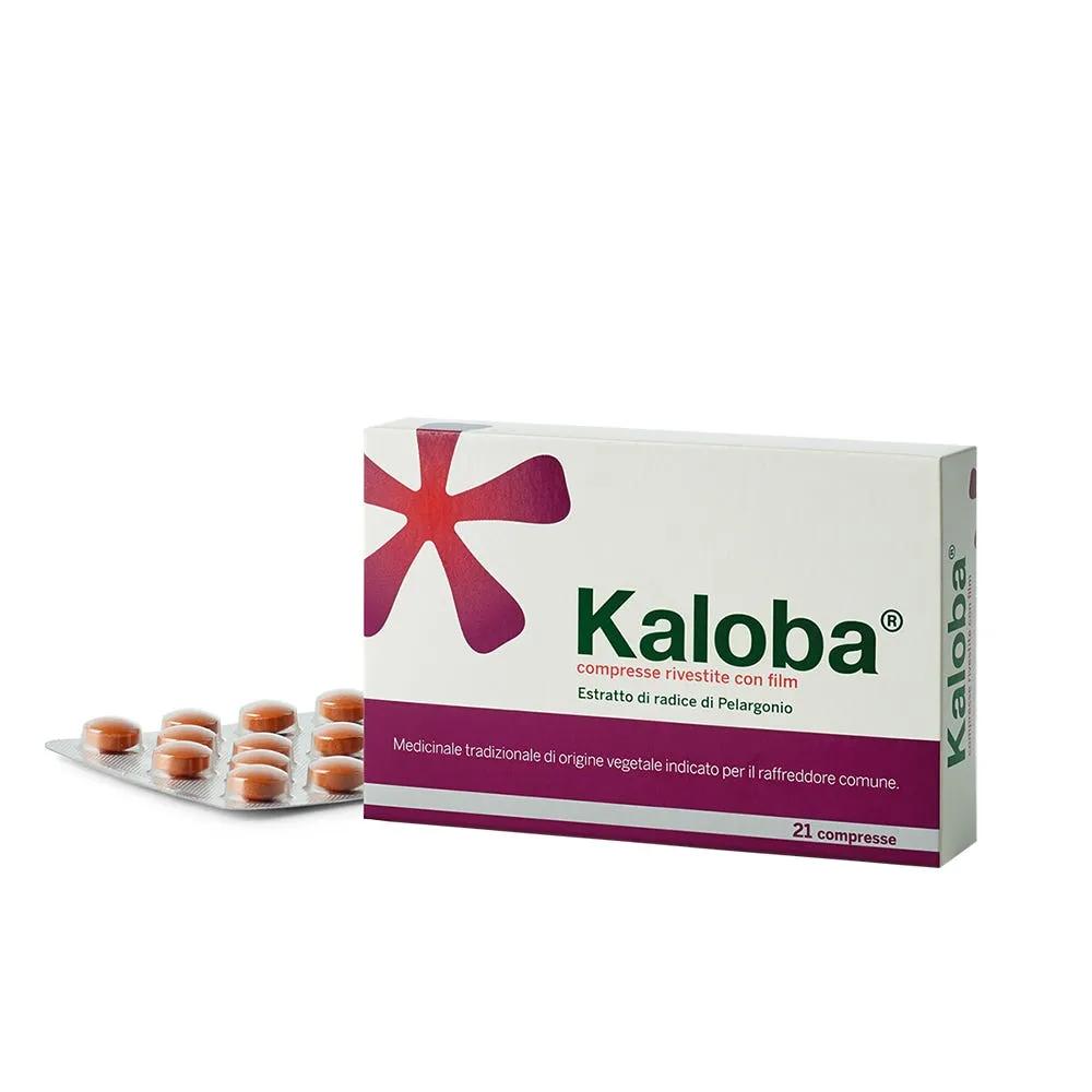 Kaloba 20 mg Contro Raffreddore Comune 21 Compresse