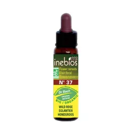 Inebios Fleur de Bach n°37 Wild Rose - Eglantier Bio 10ml