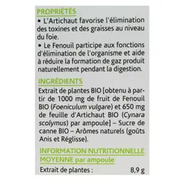 Arkopharma Arkofluides Artichaut Fenouil Bio 20 ampoules