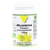 Vit'all+ Millepertuis 250mg Bio 60 gélules végétales