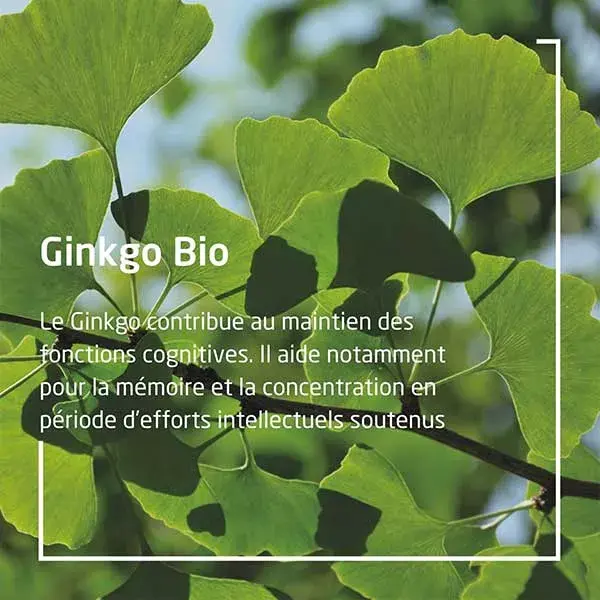 Weleda Extraits de Plantes Gingko Bio 60ml