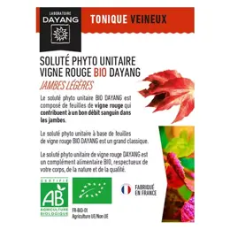 Dayang Vigne Rouge Bio 20 ampoules