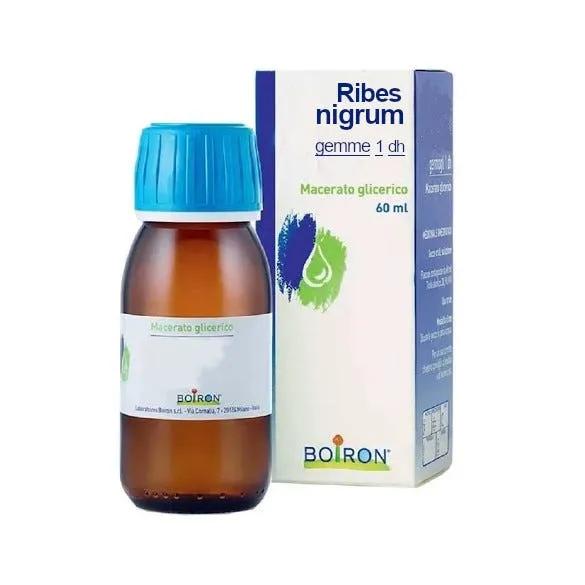 Boiron Ribes Nigrum Gemme 1DH Macerato Glicerico 60 ml