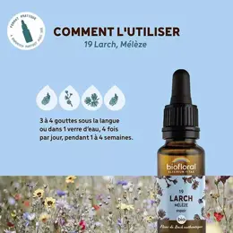 Biofloral Fleur De Bach 19 Larch Meleze Compte Gouttes Bio Demeter 20 ml