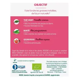 Biosens Thé Vert Maté Guarana Bio 10 ampoules