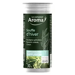 Le Comptoir Aroma Souffle d'Hiver Composition pour Diffusion 30ml