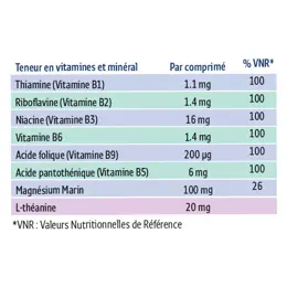 Forté Pharma Forté Stress 24h 15 comprimés