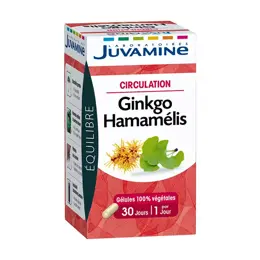 Juvamine Circulation Ginkgo Hamamélis 30 gélules