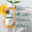 Klorane nourishing shampoo handle 400ml