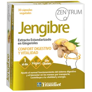 Ynsadiet Zentrum Ginger 30 Capsules