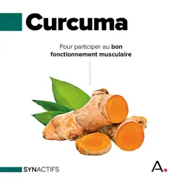 Aragan - Synactifs - Dolactifs® - Anti Inflammatoire - Curcuma - 20 Gélules