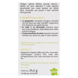 Vitavea - BioNutrisanté - Infusion Énergie - 20 Sachets