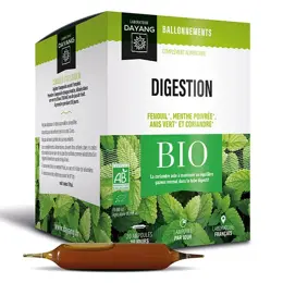 Dayang Complexe Digestion Ventre Plat Bio 20 ampoules